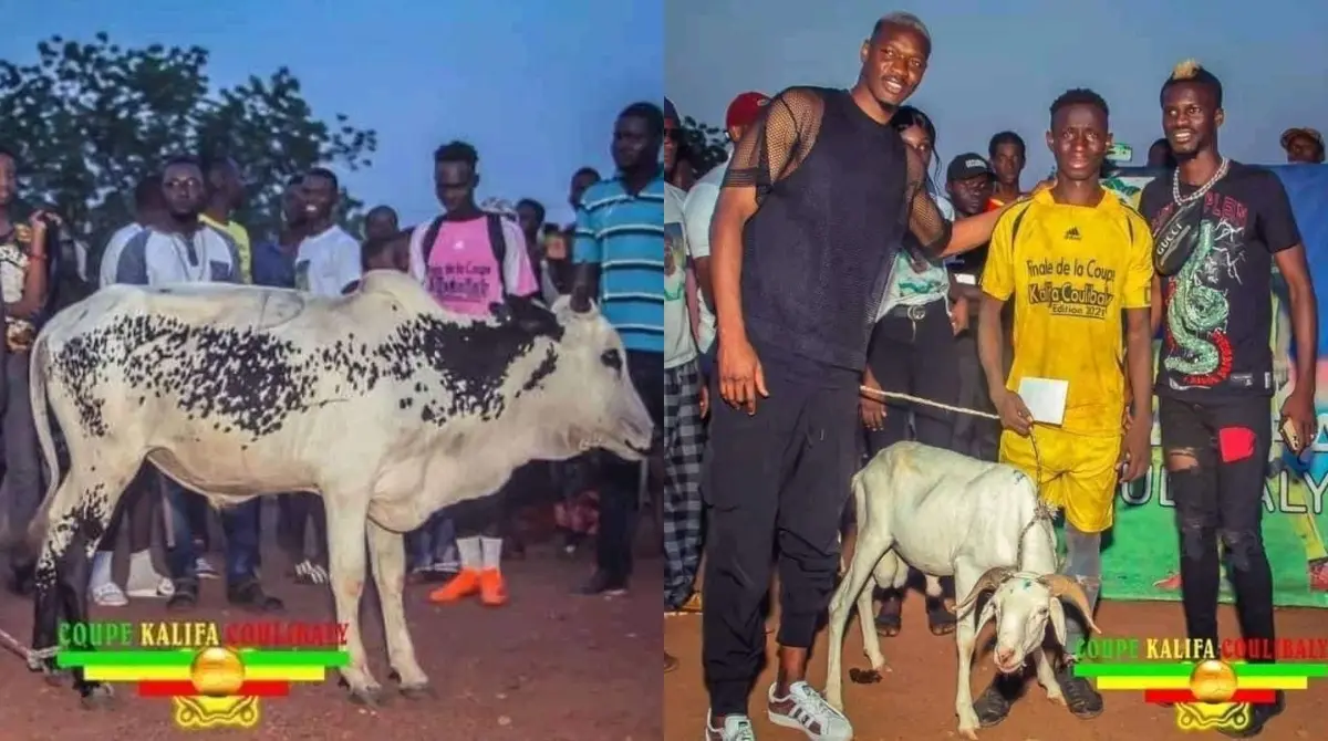 En la Copa Kalifa de Malí, el futbolista estrella del torneo fue premiado con dos animales: una vaca y una cabra.