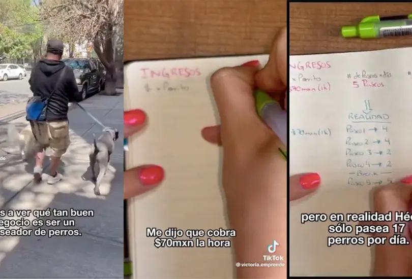 Una famosa tikotoker revel&oacute; cu&aacute;nto gana un paseador de perros en promedio al mes. 