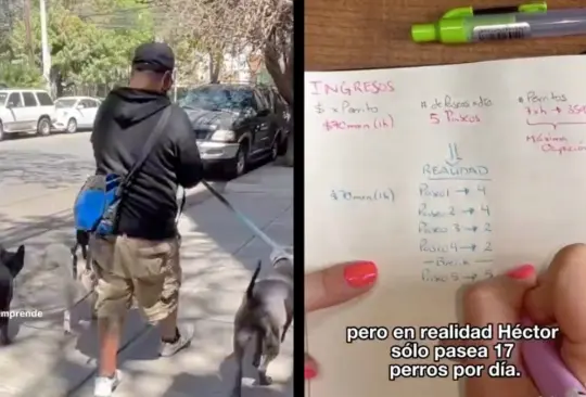Una famosa tiktoker reveló cuánto gana un paseador de perros en promedio. Una famosa tiktoker reveló cuánto gana un paseador de perros en promedio.