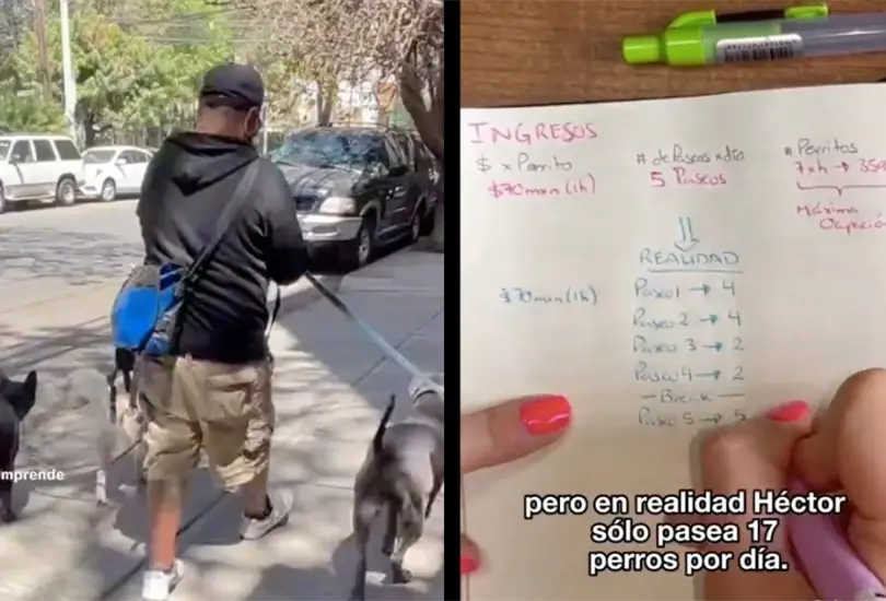 Una famosa tiktoker revel&oacute; cu&aacute;nto gana un paseador de perros en promedio. 