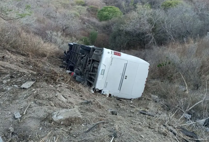 Un autobús de un equipo infantil volcó y cayó a un barranco. Un autobús de un equipo infantil volcó y cayó a un barranco.