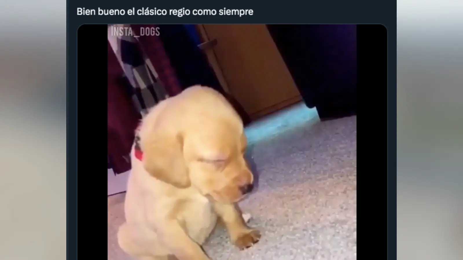 Rayados vs Tigres: Los memes que deja el primer tiempo del Clazzzico Regio