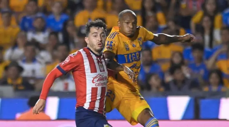 La Final entre Chivas y Tigres no tuvo el mejor desarrolló para una aficionada - @LigaBBVAMX