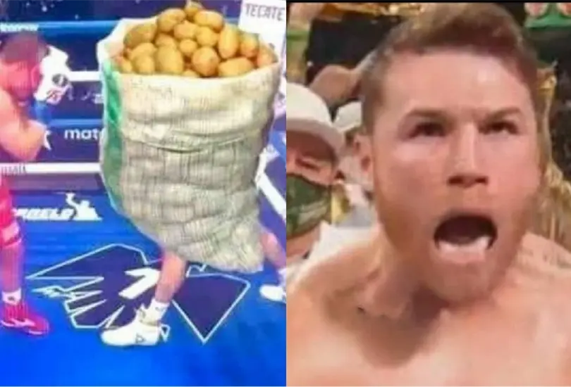Los memes se apoderaron de las redes sociales durante y tras la pelea del Canelo &Aacute;lvarez y John Ryder.