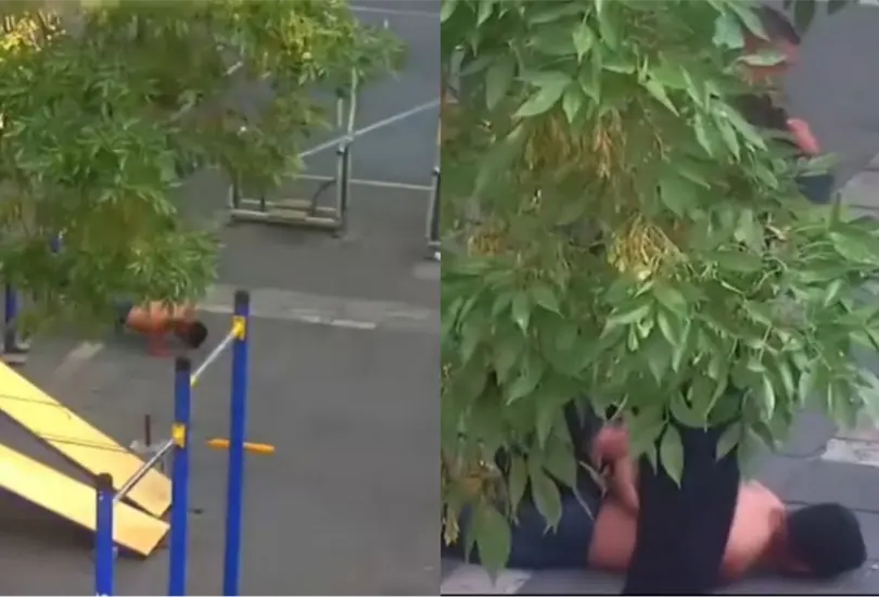 Un ladrón en la Ciudad de México se mostró audaz con su peculiar intento de evadir a las autoridades. Un ladrón en la Ciudad de México se mostró audaz con su peculiar intento de evadir a las autoridades.