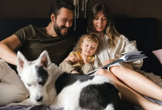 Las mascotas pintan para ser parte de la familia.