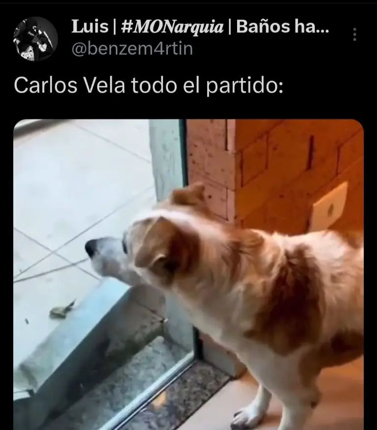 Captura de pantalla de reacciones sobre Carlos Vela.