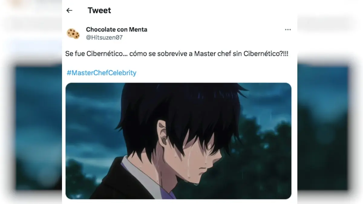 Memes de la eliminación de Cibernético en el MasterChef Celebrity México.