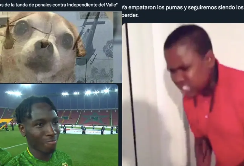 Los Pumas se llevaron los memes.