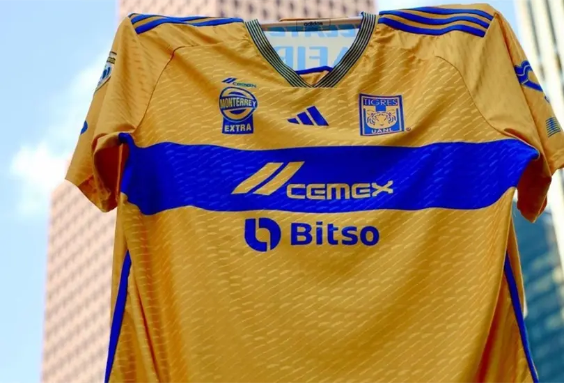 Tigres fich&oacute; a una promesa del futbol de Suecia.