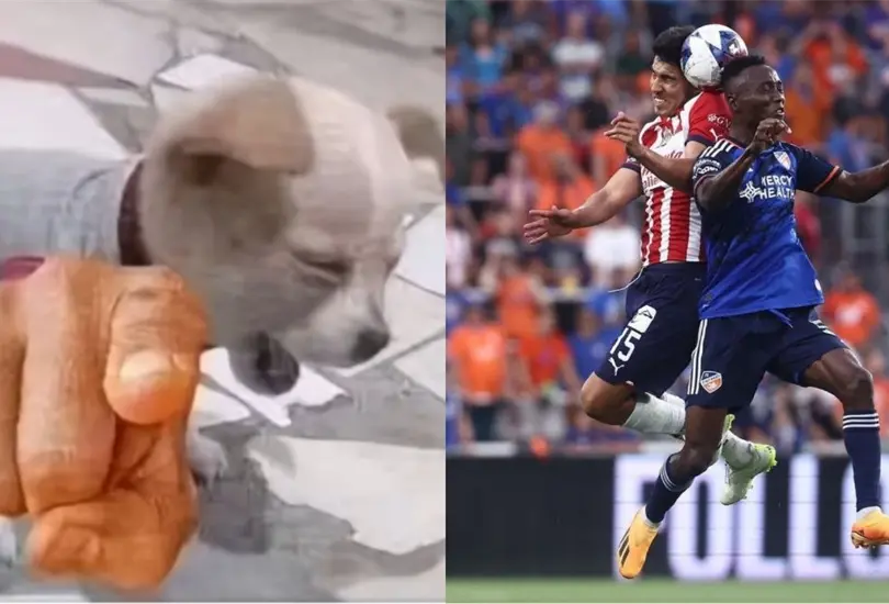 En el an&aacute;lisis de la Leagues Cup, un periodista de Fox Sports quiso defender al Reba&ntilde;o recordando que elimin&oacute; al Am&eacute;rica en la liguilla.