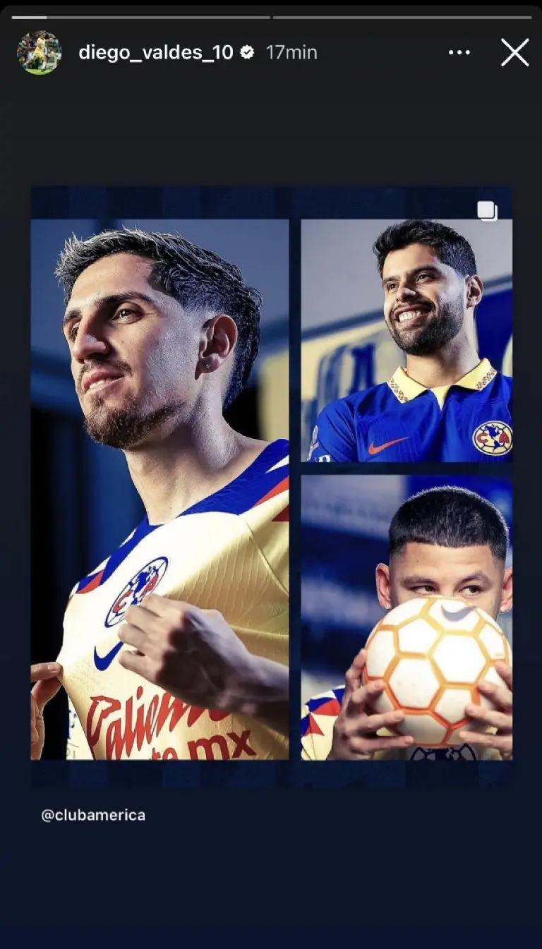 Captura de pantalla de la publicación de Diego Valdés.