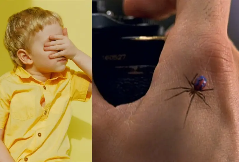 Un ni&ntilde;o consigui&oacute; que una ara&ntilde;a le picara.