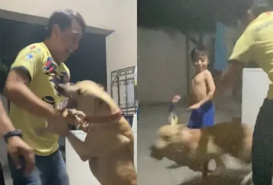 Perrito celebró el falso triunfo del América.