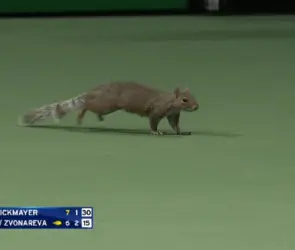 US Open 2023: Una ardilla entra a la cancha y provoca repetici&oacute;n de punto