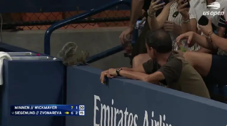 La ardillita trató de salir por las gradas y los camarógrafos la captaron. Twitter @usopen