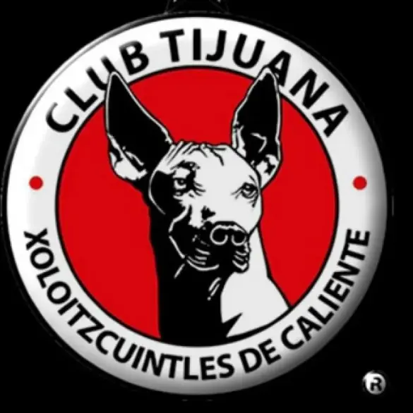 Liga MX Jornada 10 | Tijuana vs Mazatlán VER EN VIVO HOY: Detalles de transmisión