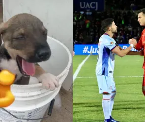 Cruz Azul: Los memes y burlas que dejó el penal atajado de Sebastián Jurado a su exequipo