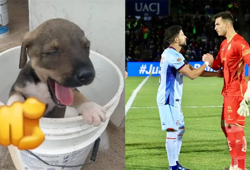 Sebasti&aacute;n Jurado le aplic&oacute; la ley del ex a Cruz Azul.