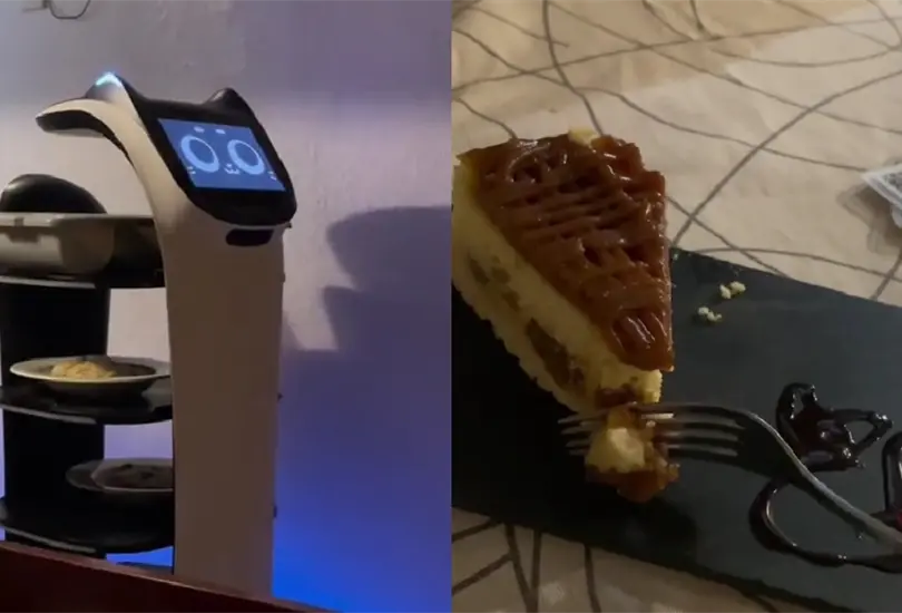 Este local sorprendi&oacute; porque los robots que atienden son gatitos.