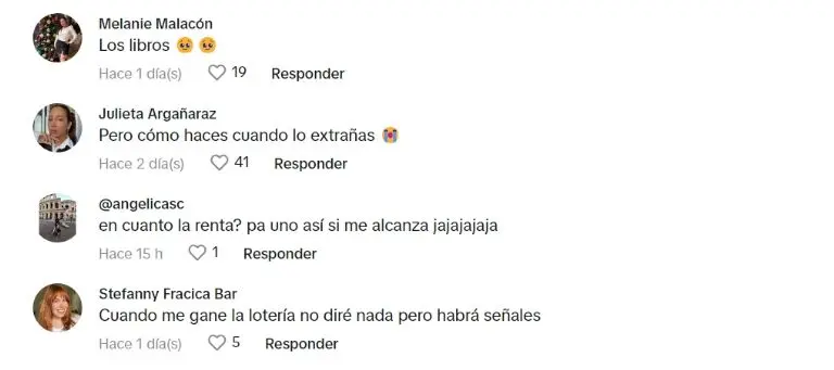 La gente indagó en los precios del nuevo penthouse gatuno. Captura de pantalla