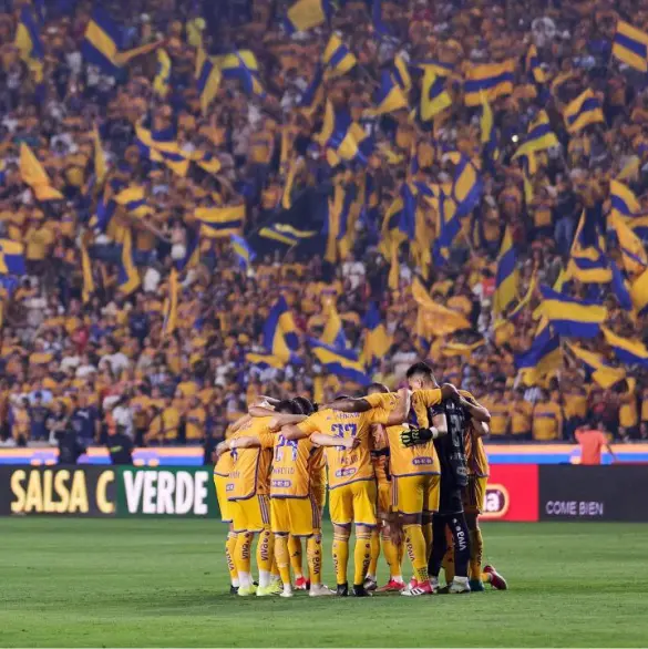 Persona muere dentro del estadio de Tigres por mala estructura