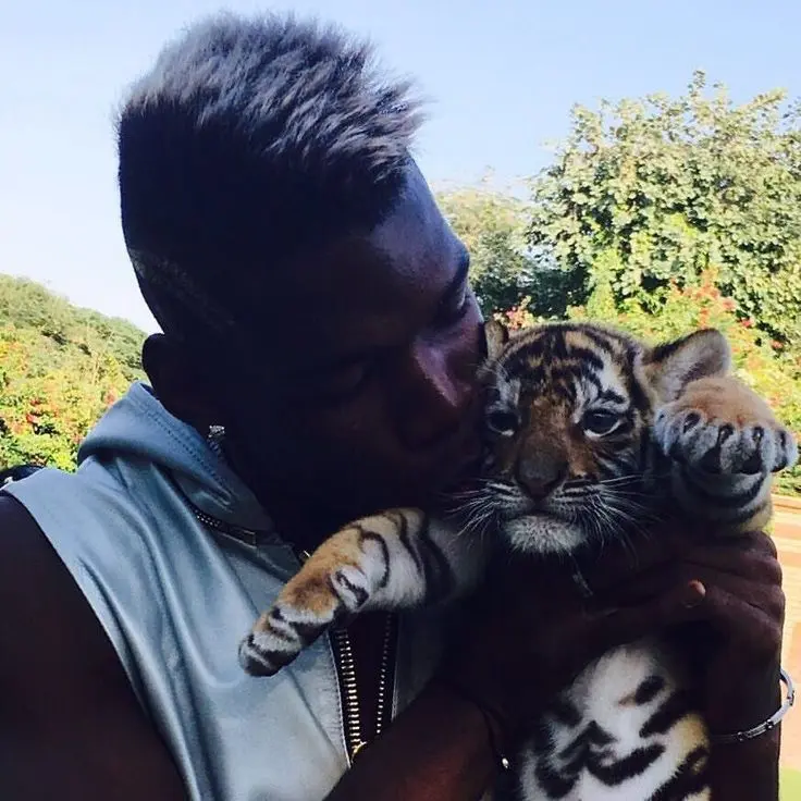 Pogba es una de las figuras más destacadas del futbol mundial que se encuentran suspendidas, tras haber dado positivo en un dopaje