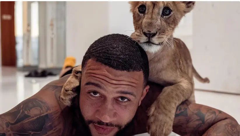 Los seguidores de Depay lo criticaron por tener a un animal salvaje en su casa
