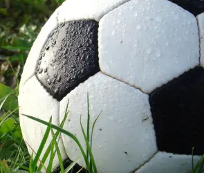 Técnicos europeos que dejaron huella en la Liga MX