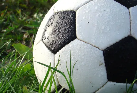 La presencia de entrenadores europeos en el fútbol mexicano ha enriquecido el balompié azteca. Sus experiencias y conocimientos han contribuido a elevar el nivel del fútbol mexicano