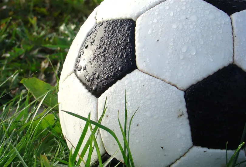 La presencia de entrenadores europeos en el f&uacute;tbol mexicano ha enriquecido el balompi&eacute; azteca. Sus experiencias y conocimientos han contribuido a elevar el nivel del f&uacute;tbol mexicano