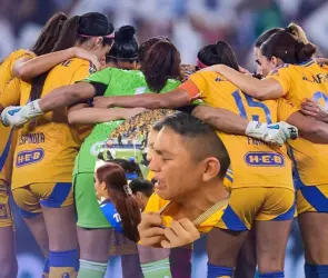 Niño se viraliza por llorar la derrota de Tigres Femenil (VIDEO)