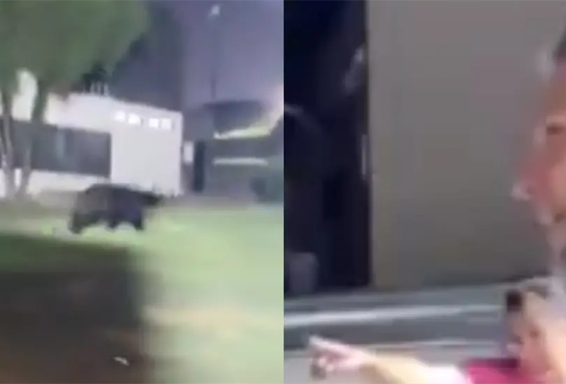 Mart&iacute;n Demichelis recibi&oacute; la visita de un oso en su casa de Monterrey