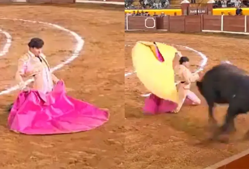 Un torero sufri&oacute; una cornada seria en la parte de la mand&iacute;bula.