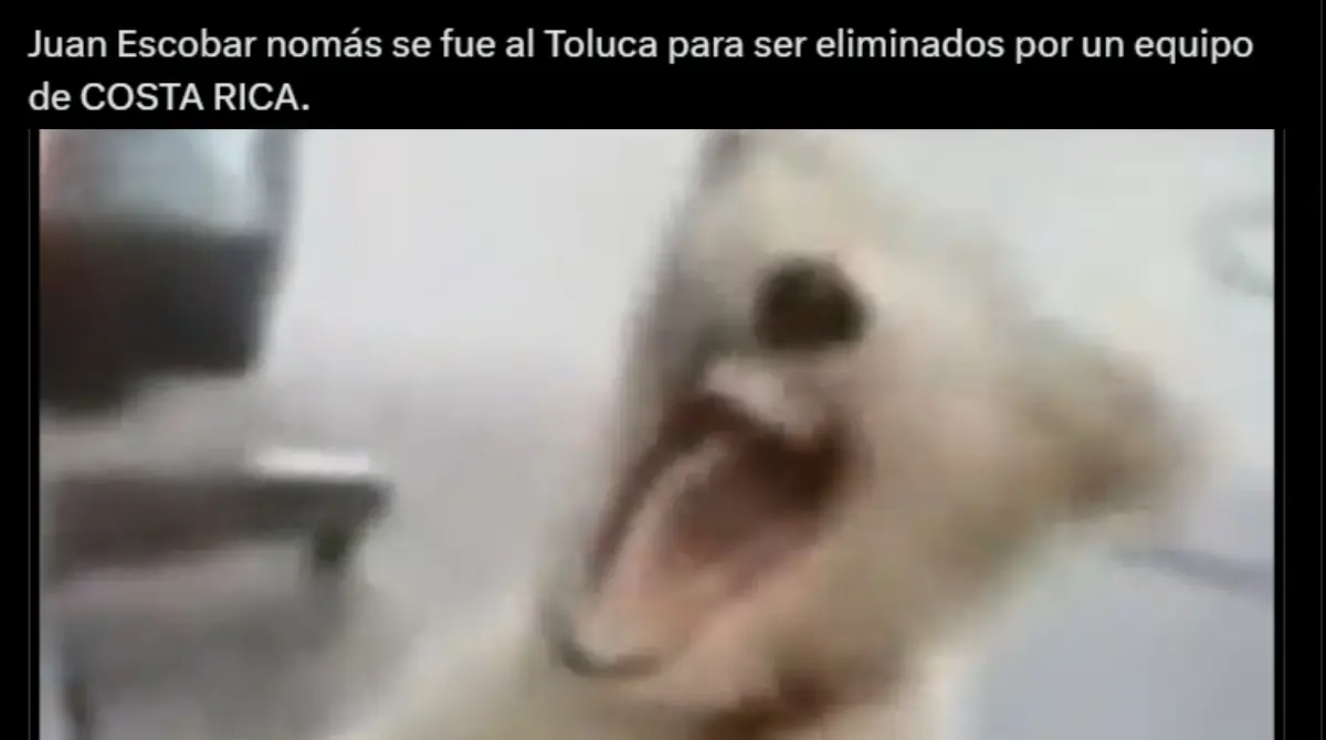 Los memes y burlas que dejó la bochornosa eliminación del Toluca a manos del Herediano