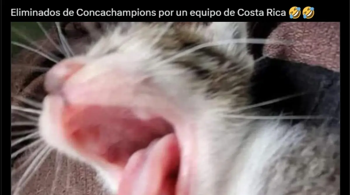 Los memes y burlas que dejó la bochornosa eliminación del Toluca a manos del Herediano