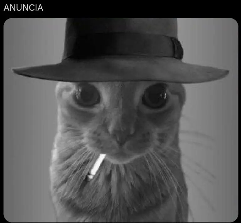Redes Sociales