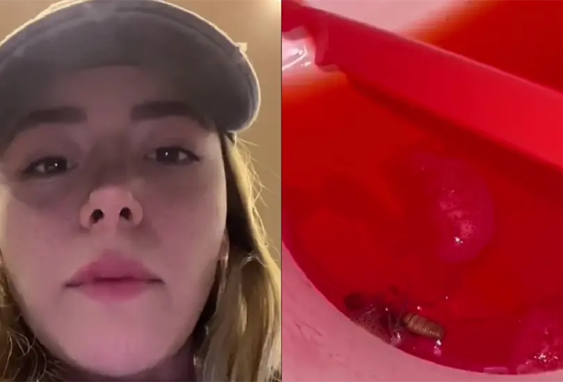 La chica grabó el momento en el que se dio cuenta del insecto. La chica grabó el momento en el que se dio cuenta del insecto.