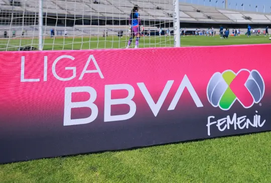 El proyecto de un equipo femenil sería inviable para varios dueños y hay un alto riesgo de desaparición. El proyecto de un equipo femenil sería inviable para varios dueños y hay un alto riesgo de desaparición.