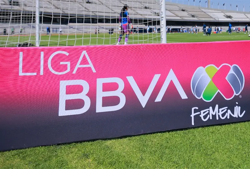 El proyecto de un equipo femenil ser&iacute;a inviable para varios due&ntilde;os y hay un alto riesgo de desaparici&oacute;n.