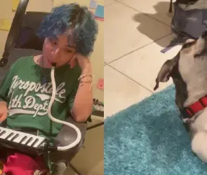 Perro canta canción del Trono de México y se vuelve viral en TikTok (VIDEO)