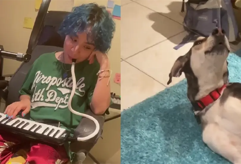 Este animalito demostr&oacute; sus dotes art&iacute;sticos en la cantada.