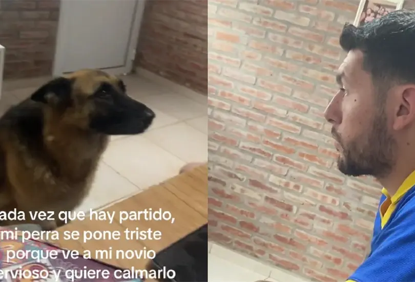 La pareja de este hombre mostr&oacute; la preocupaci&oacute;n de su mascota cuando ven el futbol.