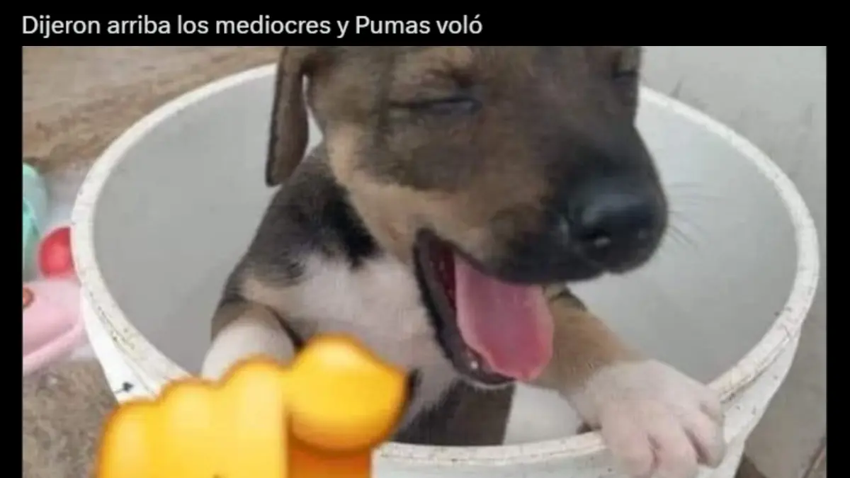 Pumas se convierte en burla y v&iacute;ctima de los memes tras ser goleado por Rayados