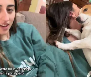 Dueña presume que su perro sabe dar abrazos y conmueve a todo TikTok (VIDEO)