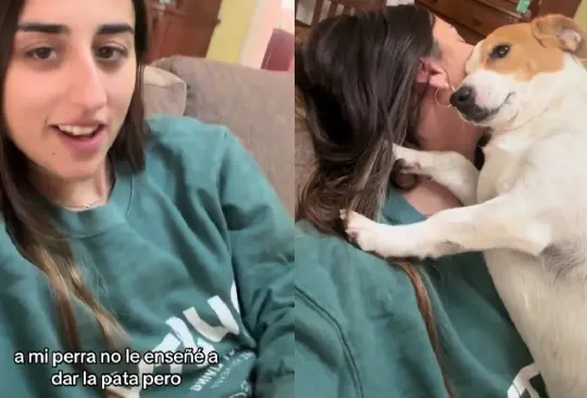 La perrita no dudó en dar amor frente a la cámara para demostrar que sabe trucos.