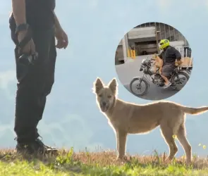 Hombre causa sensación en redes al pasear a sus perros en su motocicleta (VIDEO)