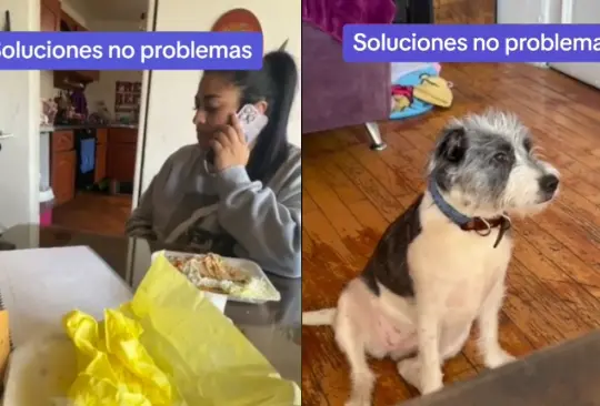 Esta perrita se veía asustada por lo que su dueña decía al teléfono.