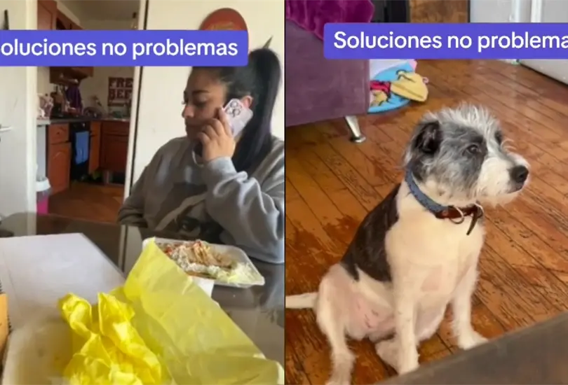 Esta perrita se ve&iacute;a asustada por lo que su due&ntilde;a dec&iacute;a al tel&eacute;fono.