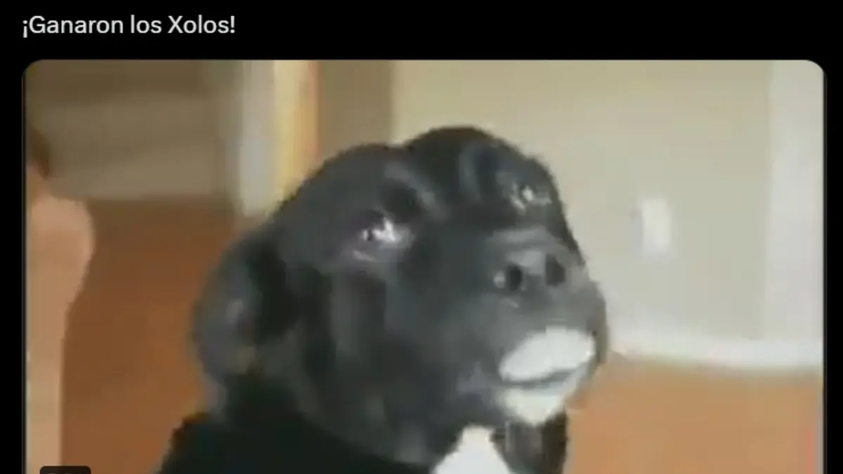 Los memes invaden a Xolos y al 'Piojo' Herrera luego de finalmente ganar en la Liga MX